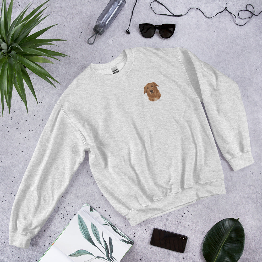 Custom Embroidered Pet Sweatshirt