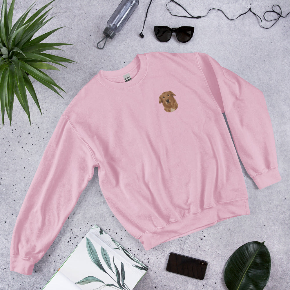 Custom Embroidered Pet Sweatshirt