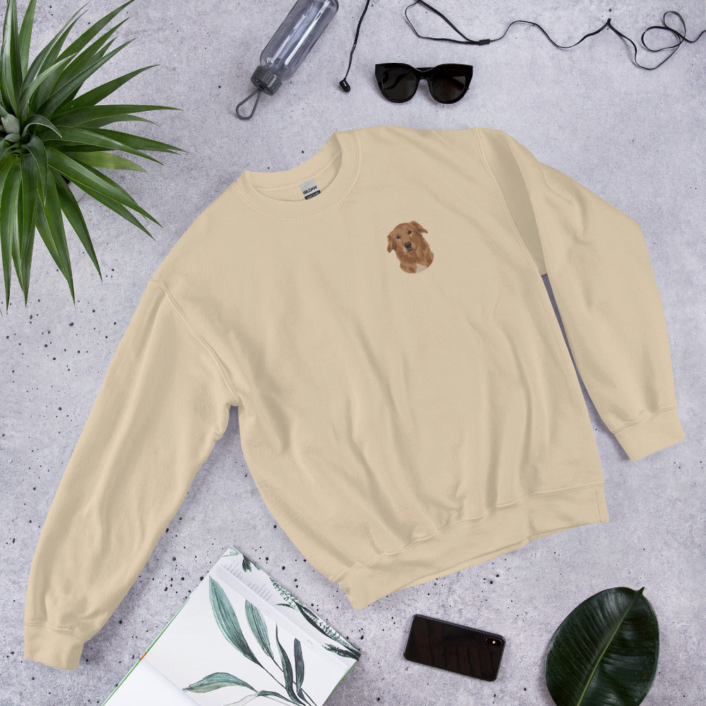 Custom Embroidered Pet Sweatshirt
