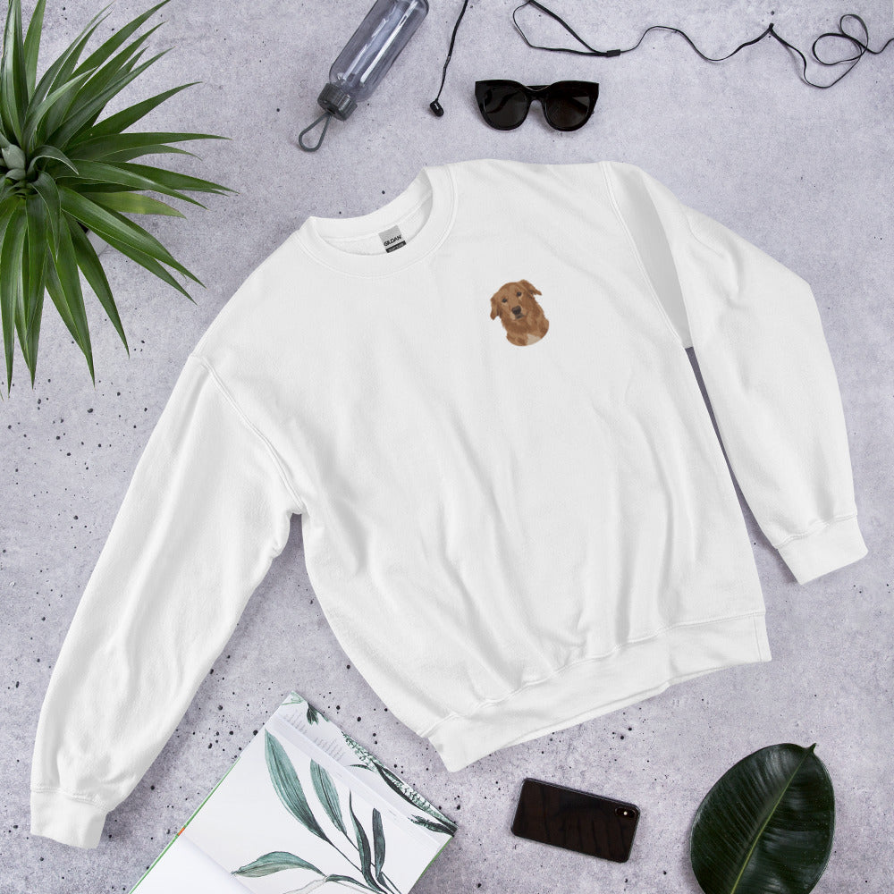 Custom Embroidered Pet Sweatshirt